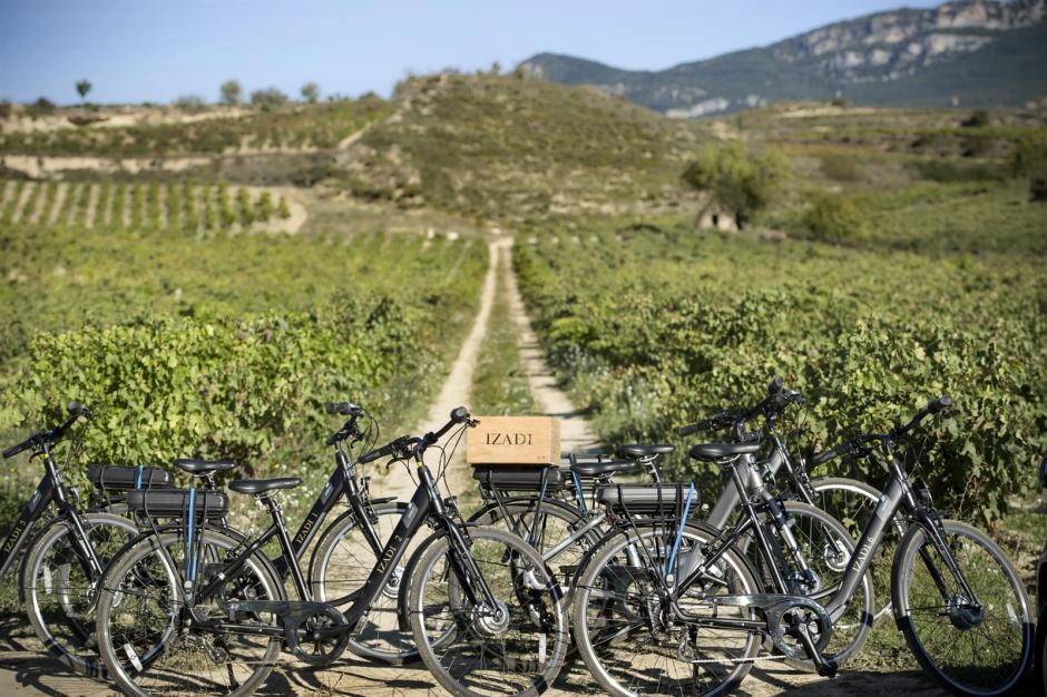 08/10/2019 Enoturismo en Bodegas Izadi.

Izadi ha conseguido el premio Best of Wine Tourism 2023, un galardón que reconoce el trabajo que la bodega ha llevado a cabo en enoturismo a lo largo de los últimos años. La bodega se lleva hasta Villabuena de Álava este premio que reconoce sus 'prácticas sostenibles de enoturismo'.

ECONOMIA
BODEGAS IZADI