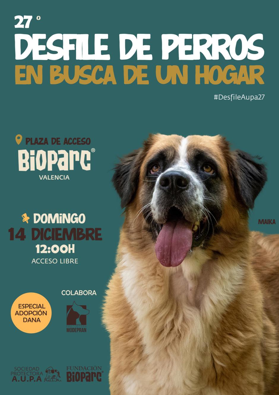 Imagen del cartel promocional del desfile de perros en busca de hogar