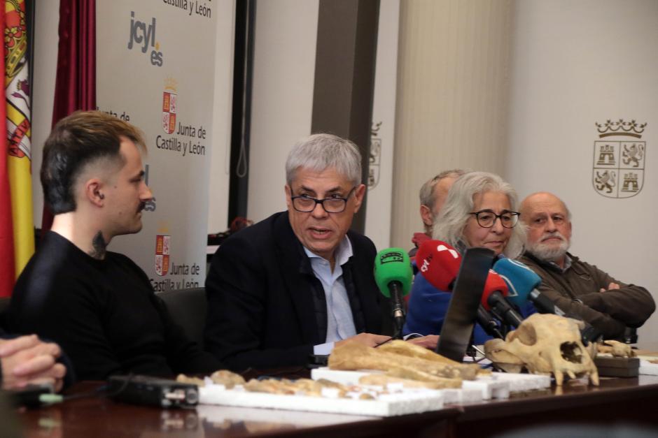 El delegado territorial de la Junta, Eduardo Diego. el coordinador del proyecto y paleobiólogo Darío Fidalgo, la profesora de Paleontología de la Universidad de León, Esperanza Fernández, y el profesor de Prehistoria de la ULE, Carlos Fernández presentan los resultados provisionales de la primera campaña de recuperación de restos de fauna del Cuaternario en cuevas de la provincia de León