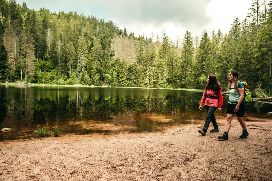 Senderismo por la Selva Negra.