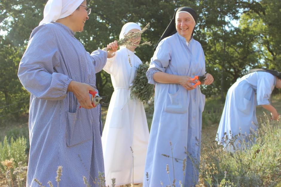 Algunas religiosas recolectando hierbas y plantas para sus creaciones