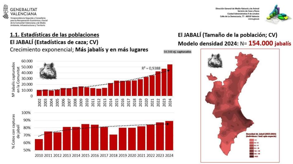 Gráfico de las estadísticas de caza de jabalíes en los municipios de la Comunidad Valenciana