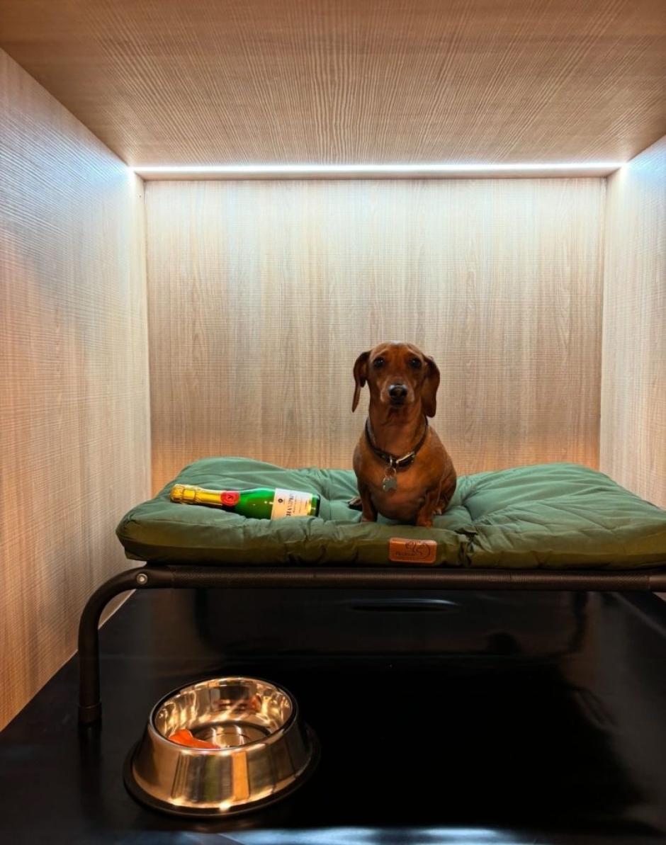 Imagen de The Dogg Hotel & Spa.