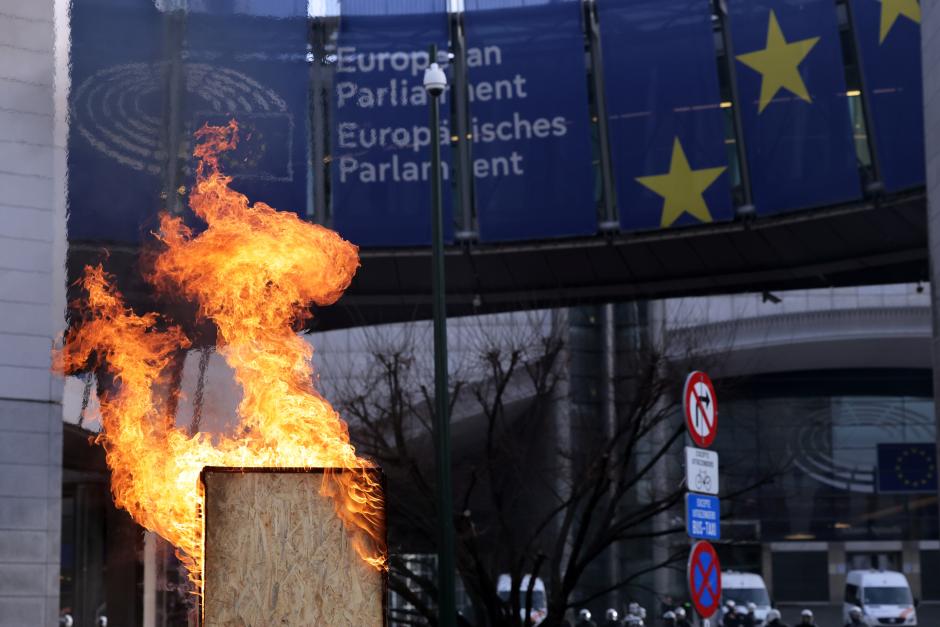 Llamas en la protesta de los agricultores frente al Parlamento Europeo el 18 de diciembre de 2025