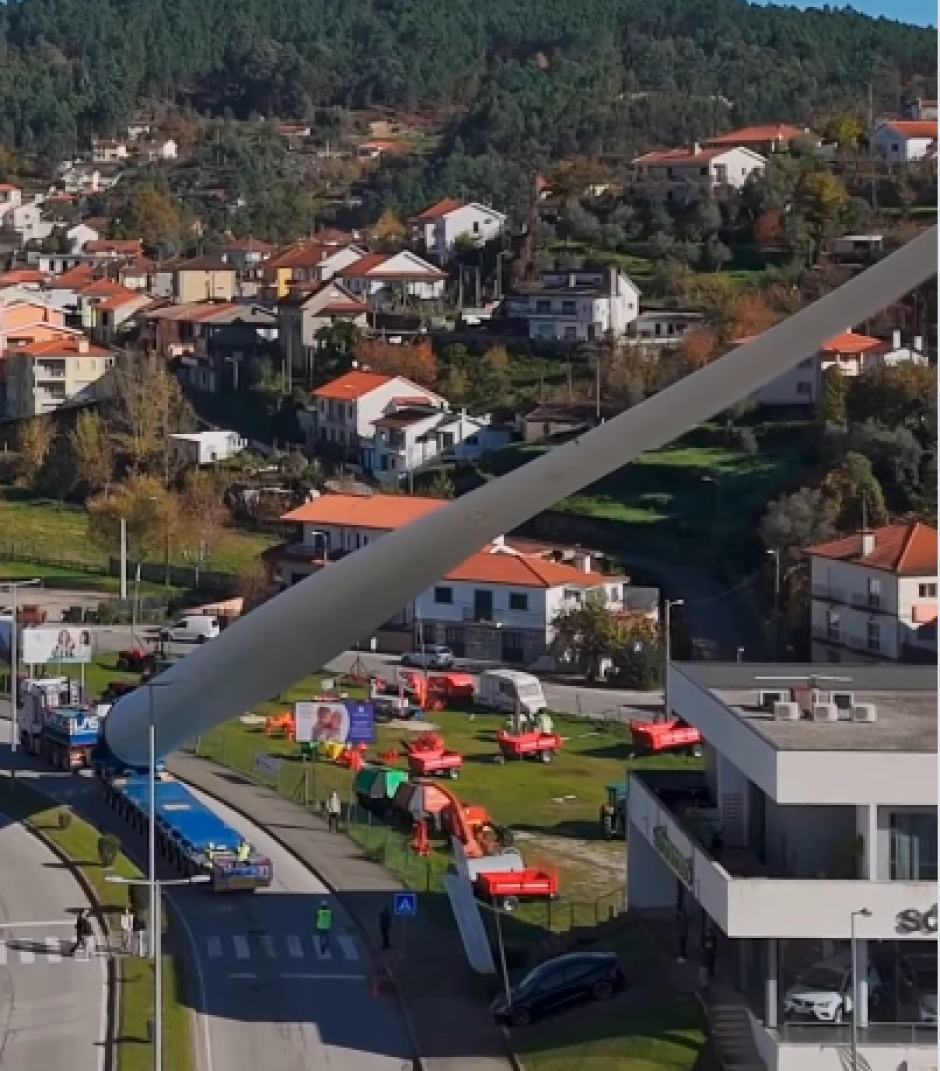 Lo impresionante es verlas volar encima de edificios