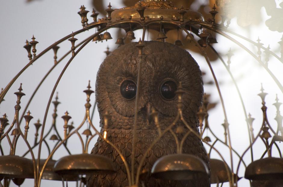 El búho del Reloj del Pavo Real