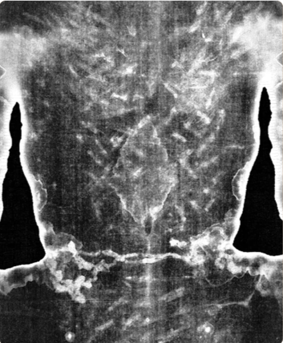 La descripción de cada parte de la Sábana Santa se acompaña de imágenes de alta resolución y gran detalle, para facilitar su comprensión