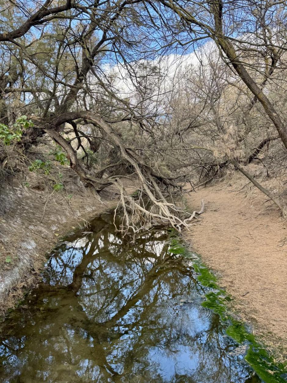 Imagen de un trozo de la nueva ruta de Elda