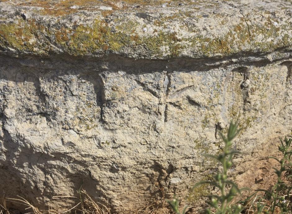 Los desgastados motivos