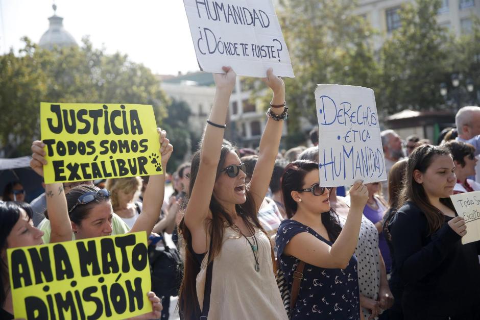 Una de las manifestaciones que se celebraron en contra del sacrificio del perro Excalibur