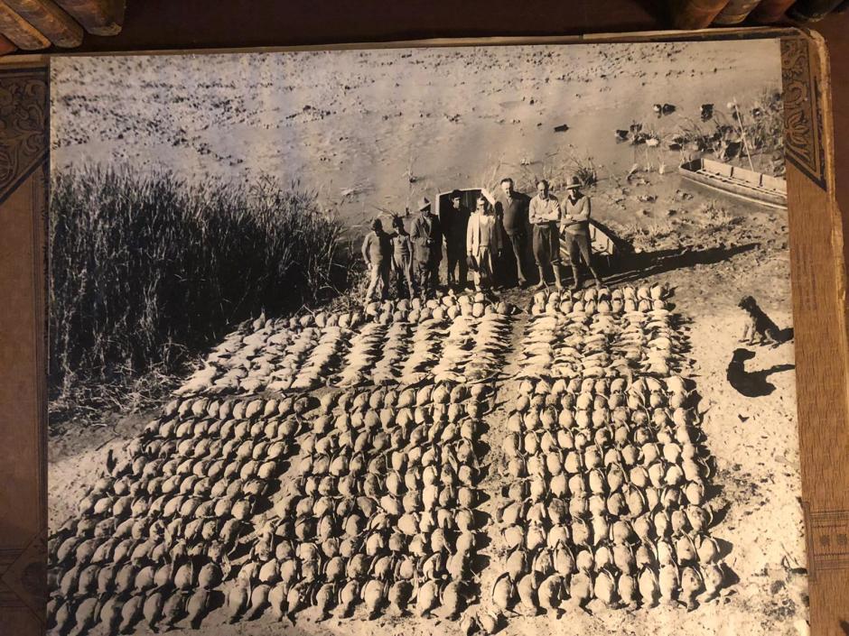 Batida récord de ánsares. Leo Biaggi, duque de Algeciras, conde de Teba y guardas.