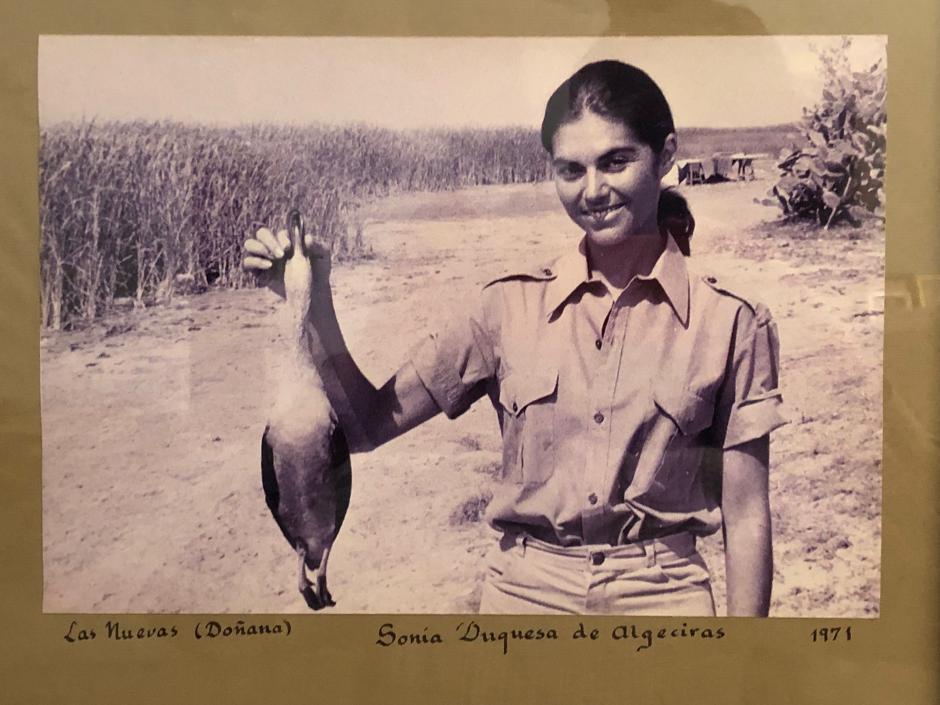 Sonia Duquesa de Algeciras, en Las Nuevas (Doñana) (1971)