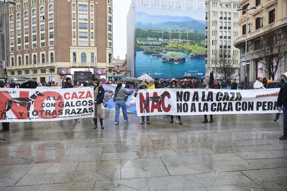 Manifestación contra la caza en la Plaza del Callao, en Madrid