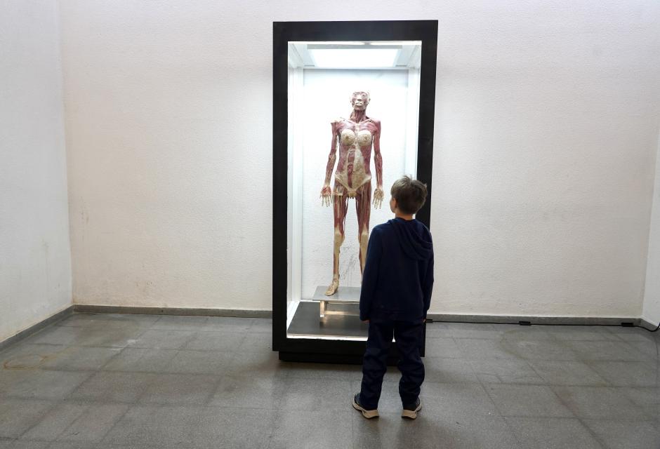 Exposición Bodies Evolution, con cuerpos humanos reales