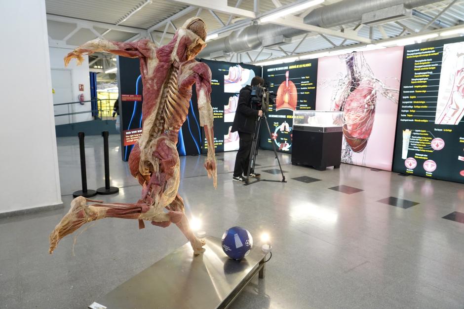 Exposición Bodies Evolution, con cuerpos humanos reales