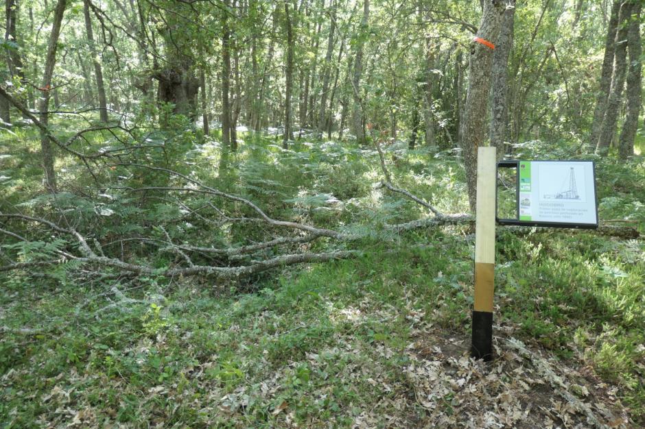 Una placa en la Hoya de Huidobro, espacio que la Asociación Geocientífica de Burgos no quiere que caiga en el olvido
