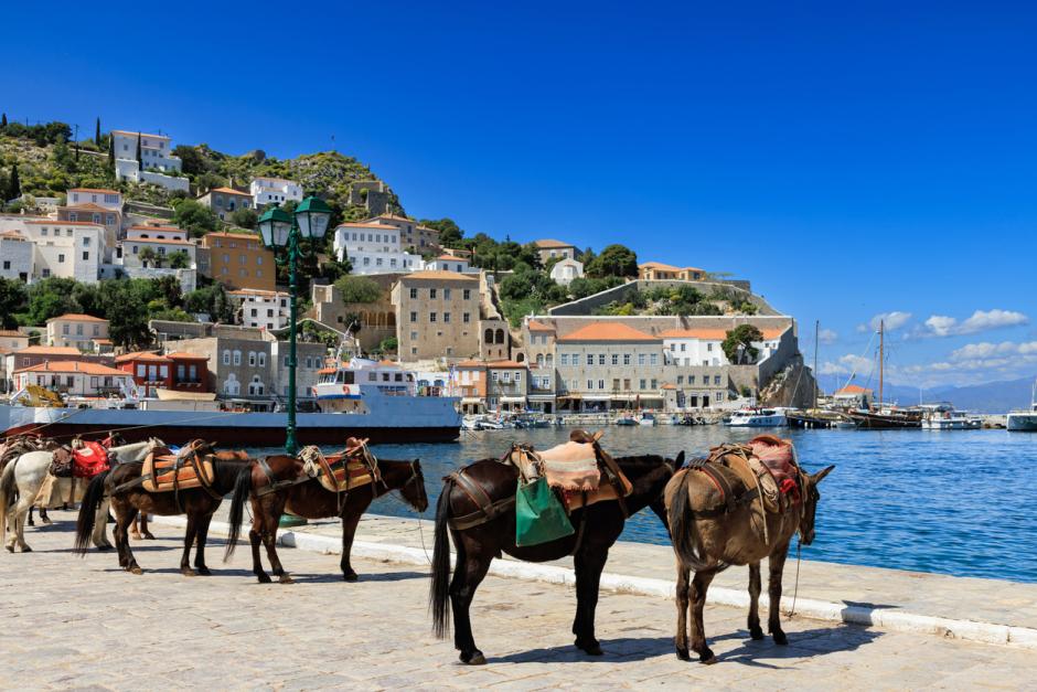 Burros en el paseo marítimo de la isla de Hidra