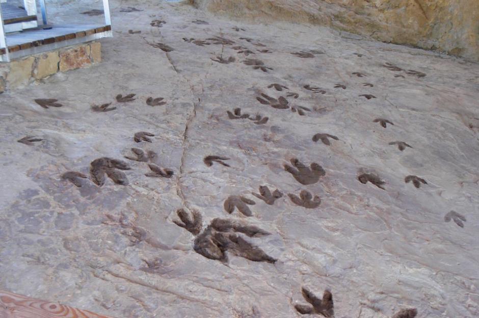 Imagen de las huellas de dinosaurio en el yacimiento icnológico de Corcolilla