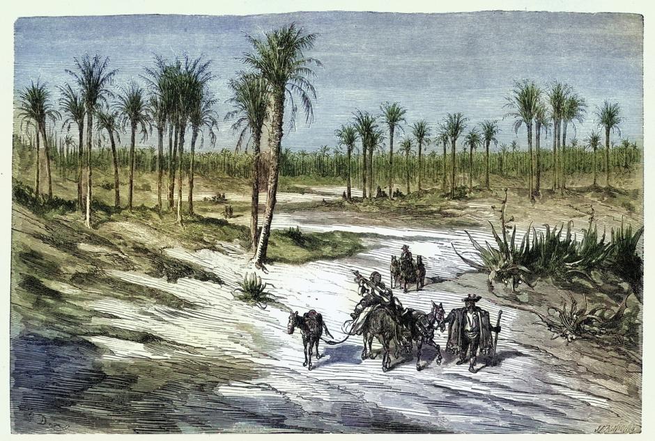 Ilustración antigua del Bosque de Palmeras en Elche, en la provincia de Alicante