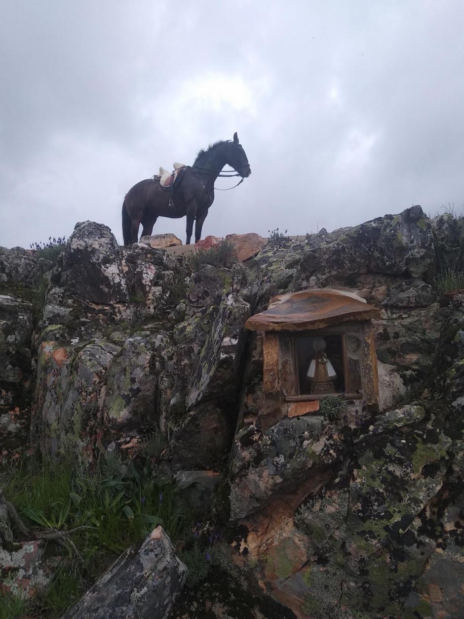 Los terrones de azúcar