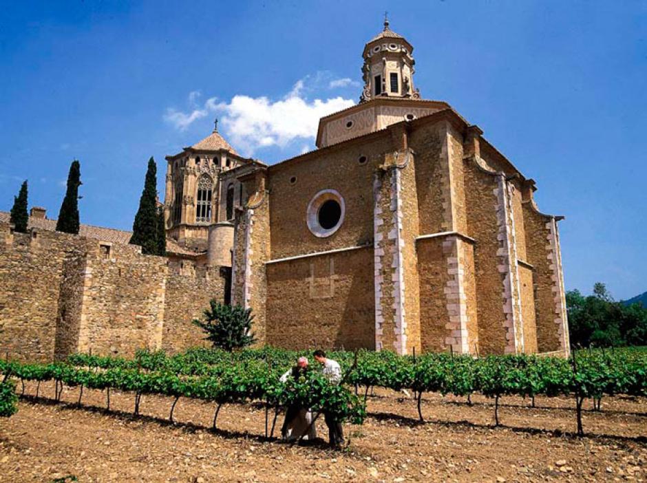 Viñas en el Real Monasterio de Santa María de Poblet (Tarragona)