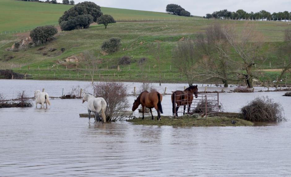 Las fuertes lluvias caídas en la provincia de Salamanca dejan inundaciones en pueblos y campos de cultivo