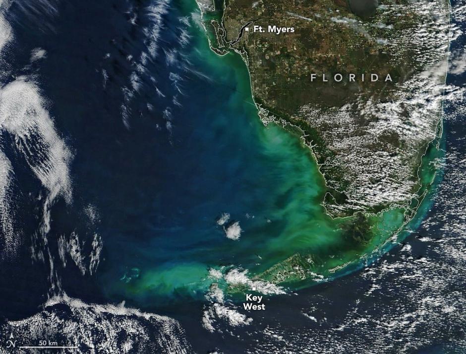La explosión ártica iluminó la plataforma occidental de Florida