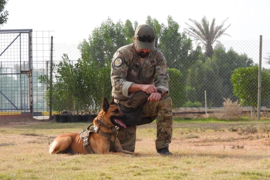 Empleo operativo de unidades caninas para detección de explosivos