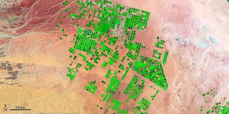 Círculos en los cultivos en el desierto