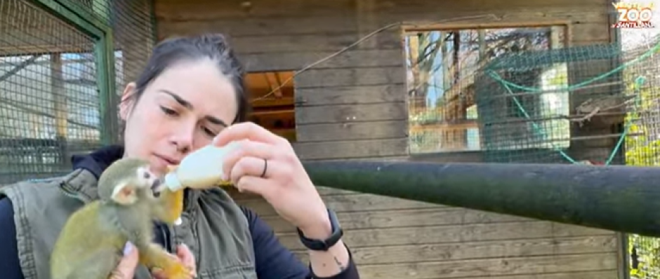 Imagen del pequeño mono Richter con una de sus cuidadoras