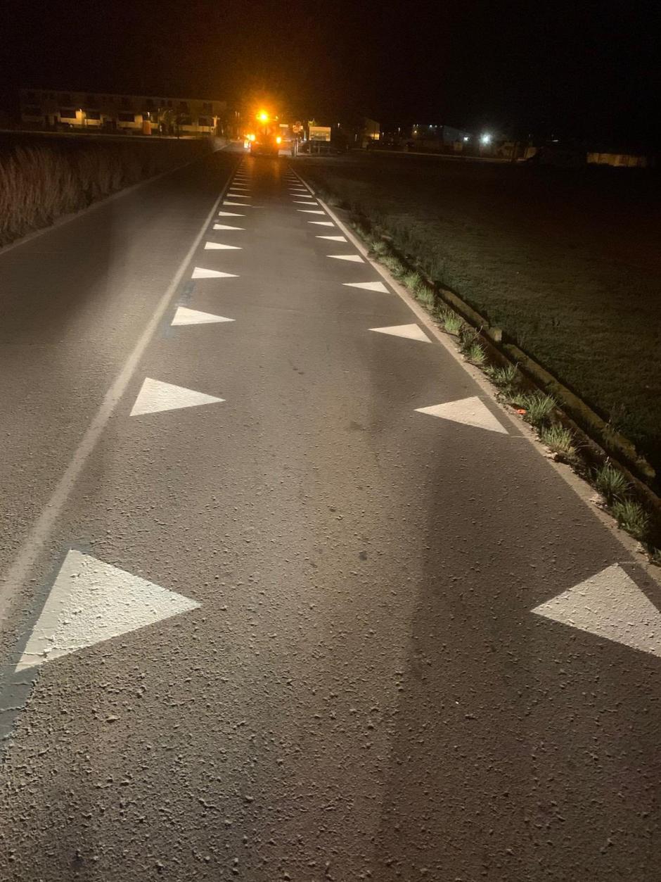 Imagen de la marca "Dientes de dragón" en la carretera de acceso a El Palmar.