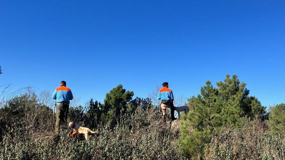 Mirando al horizonte.