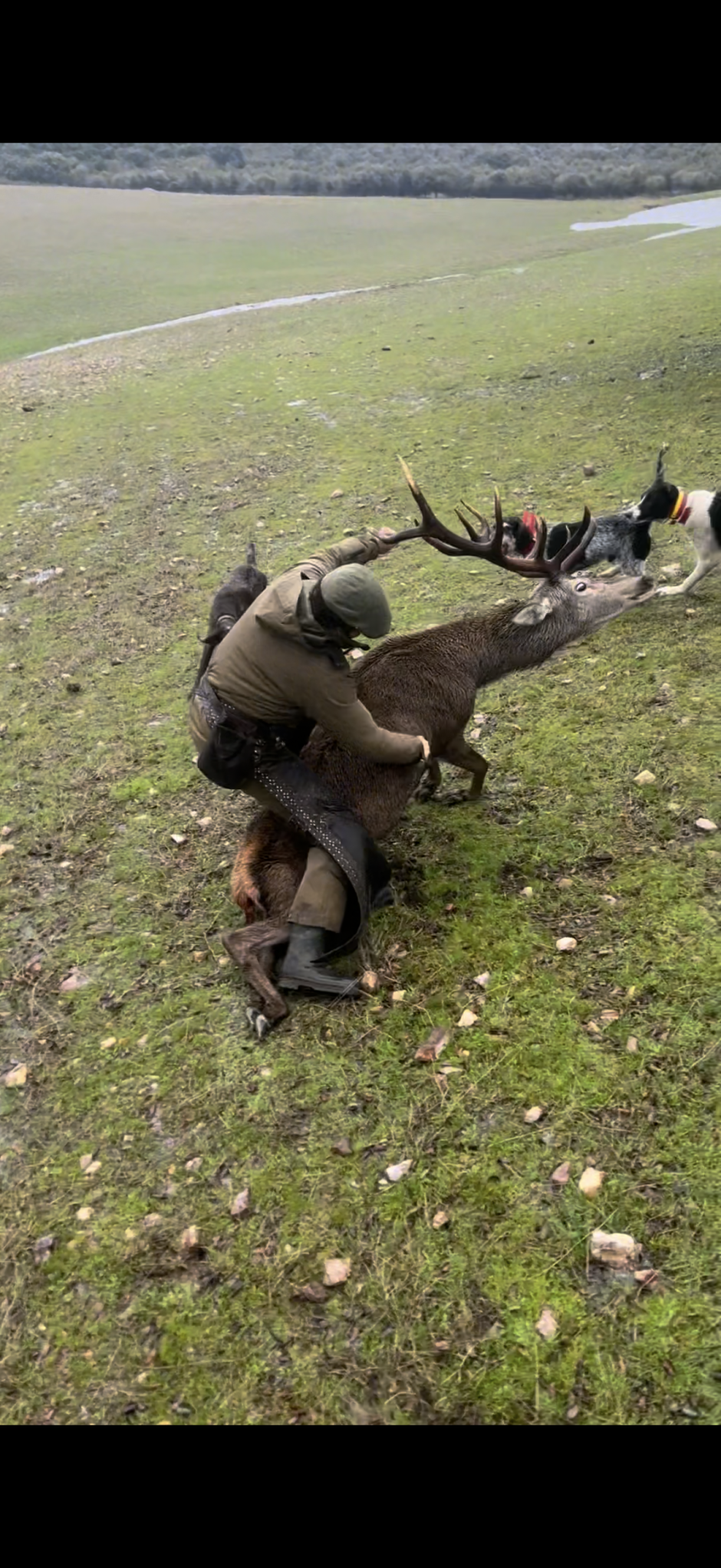 Lolo de Juan con un venado de gran tamaño en una montería