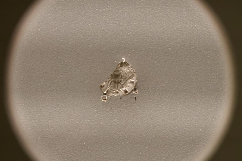 Exposición ‘Reina Ella. Urraca I de León [1109-1126]’