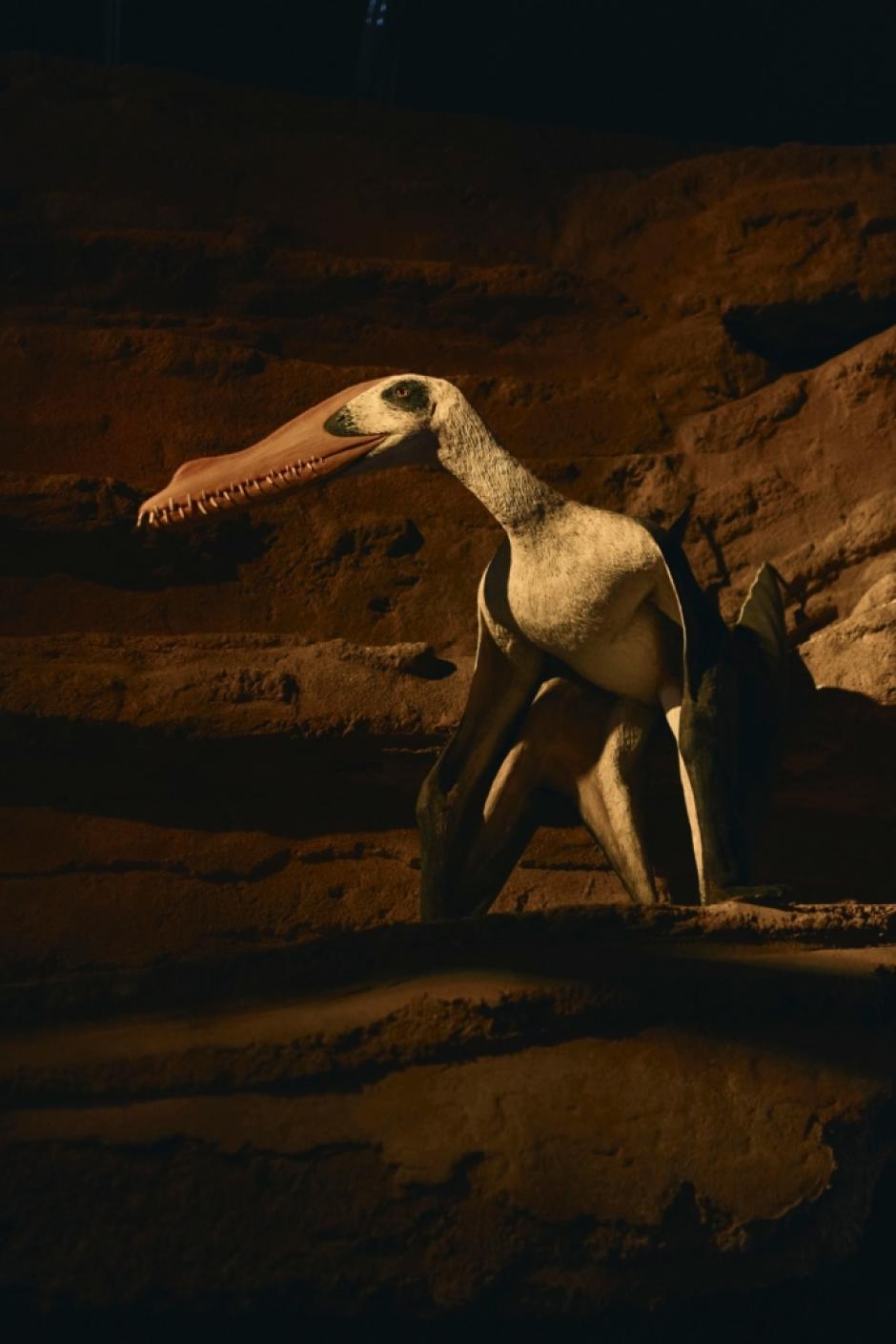 Recreación del reptil volador en Mar Jurásic