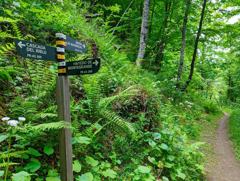 Señalización de la ruta entre la cascada del Xiblu y el bosque de Montegrande