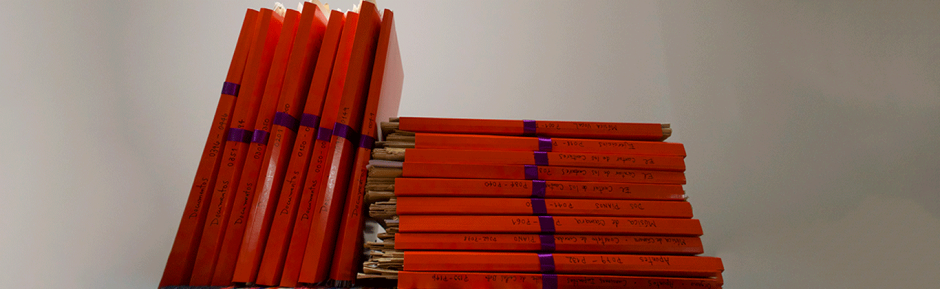 El legado documental de Diana Pey Casado