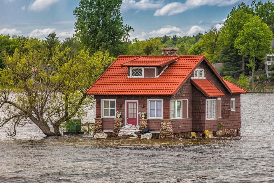 Just Room Enough Island, con su casa habitada y su árbol vivo