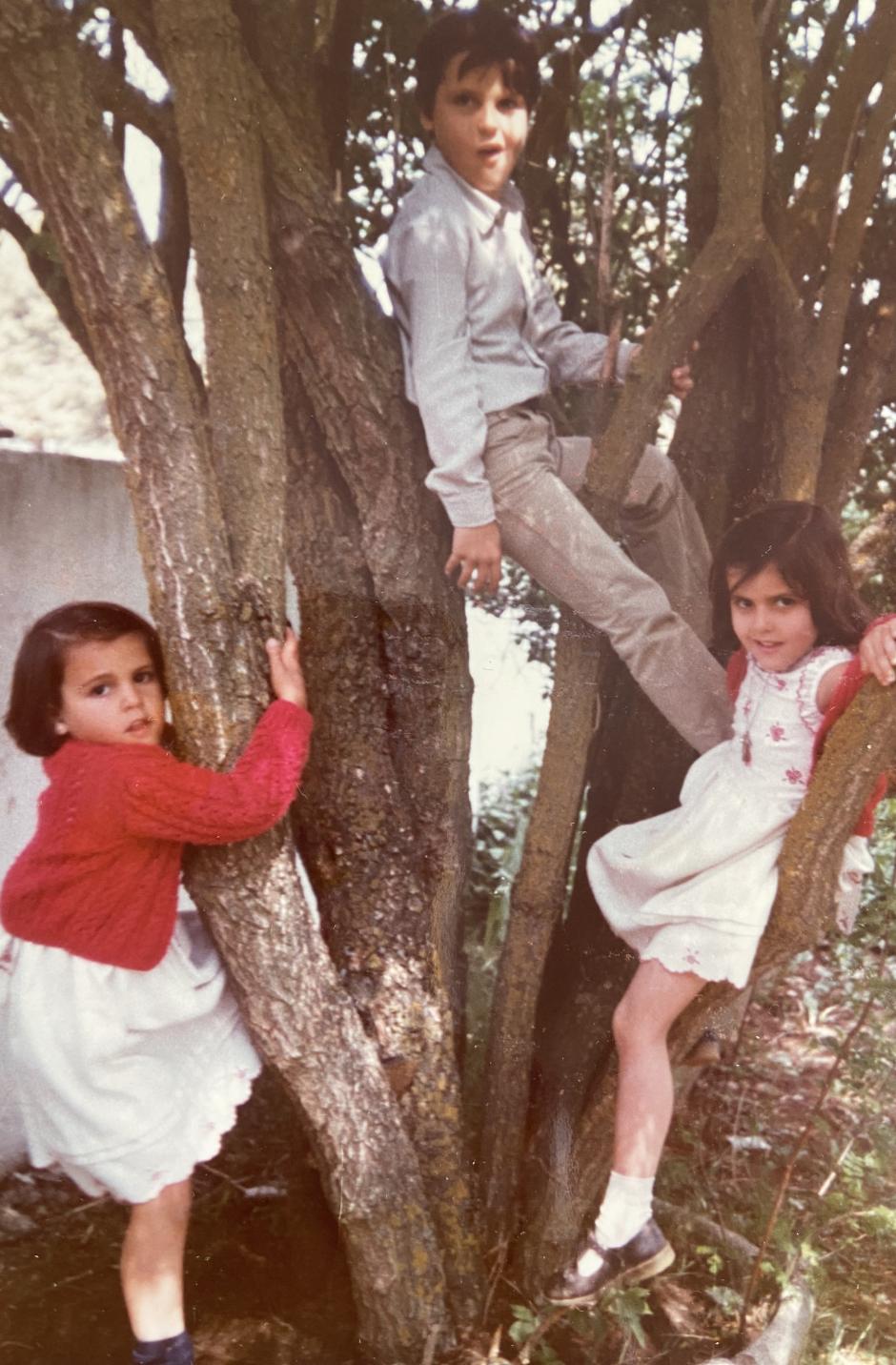 Desde pequeños trepar a los árboles nos encantaba. Mis tres hermanos mayores  en el jardín del Villar de los Álamos