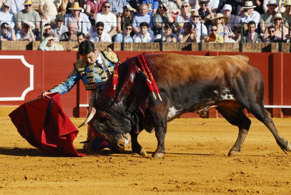 Miguel Ángel perera, de rodillas ante el primero de su lote