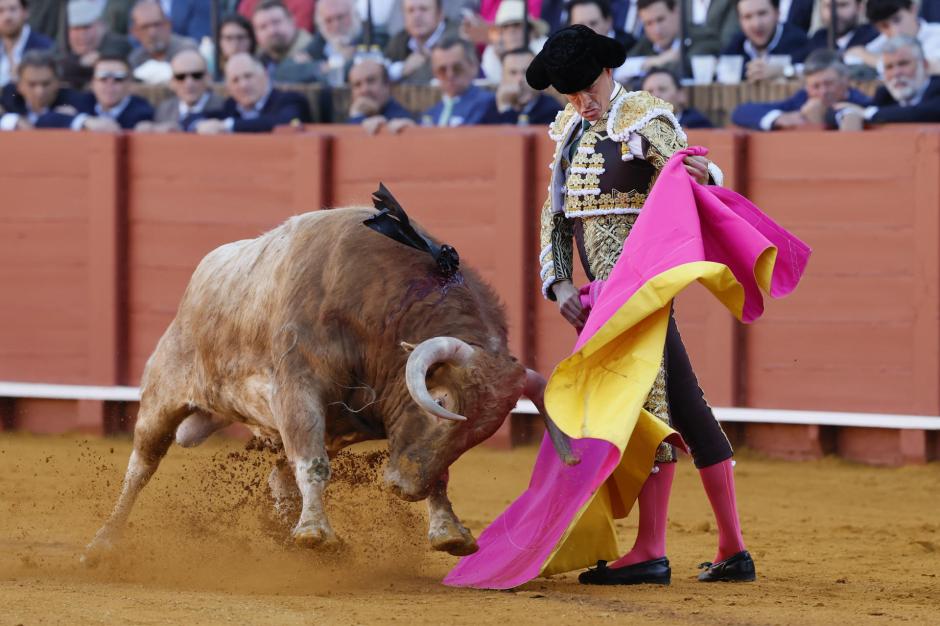 David Galván, este miércoles en La Maestranza