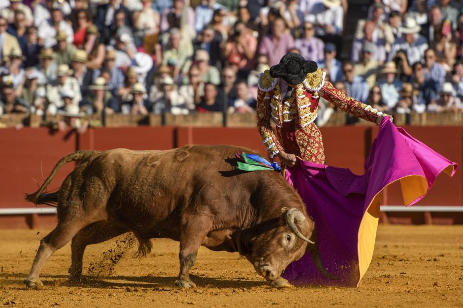 Roca Rey, con el capote ante el primero de su lote, en un nuevo lleno en Sevilla