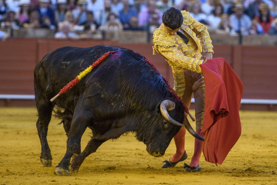 Pablo Aguado, este viernes en La Maestranza de Sevilla