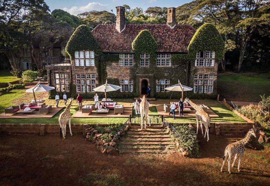 Hora del té en la Mansión de las Jirafas.