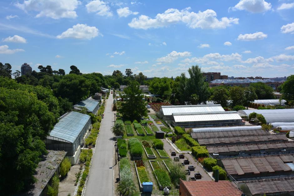 Vivero de Estufas del Retiro