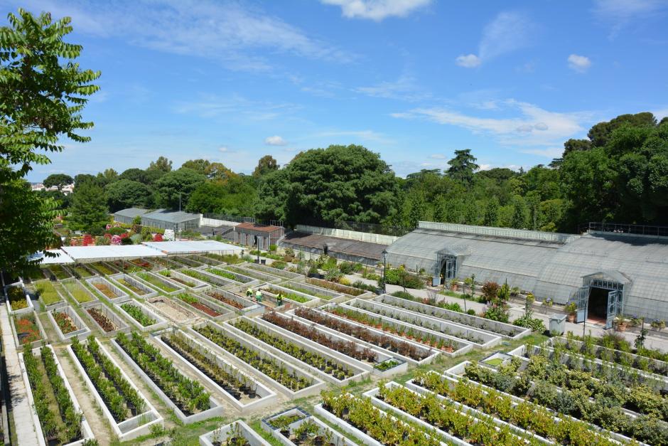 Vivero de Estufas del Retiro