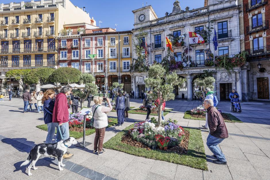 XIII Fiesta de las Flores de Burgos