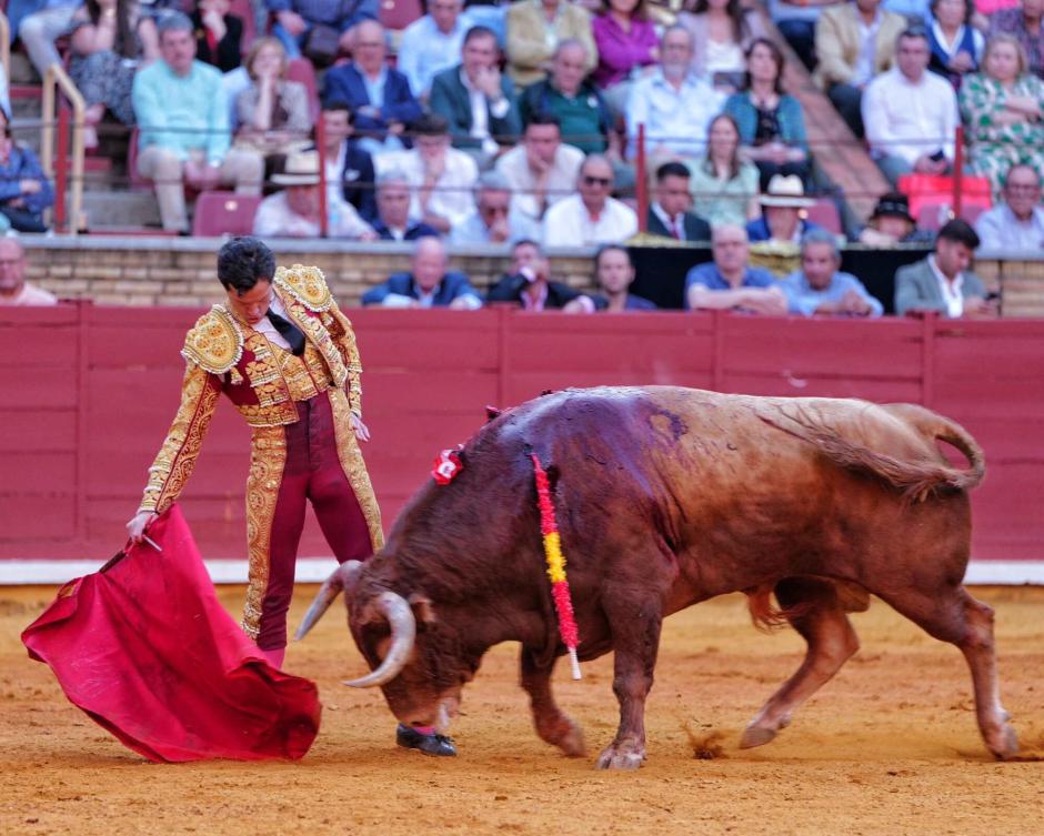 Daniel Luque