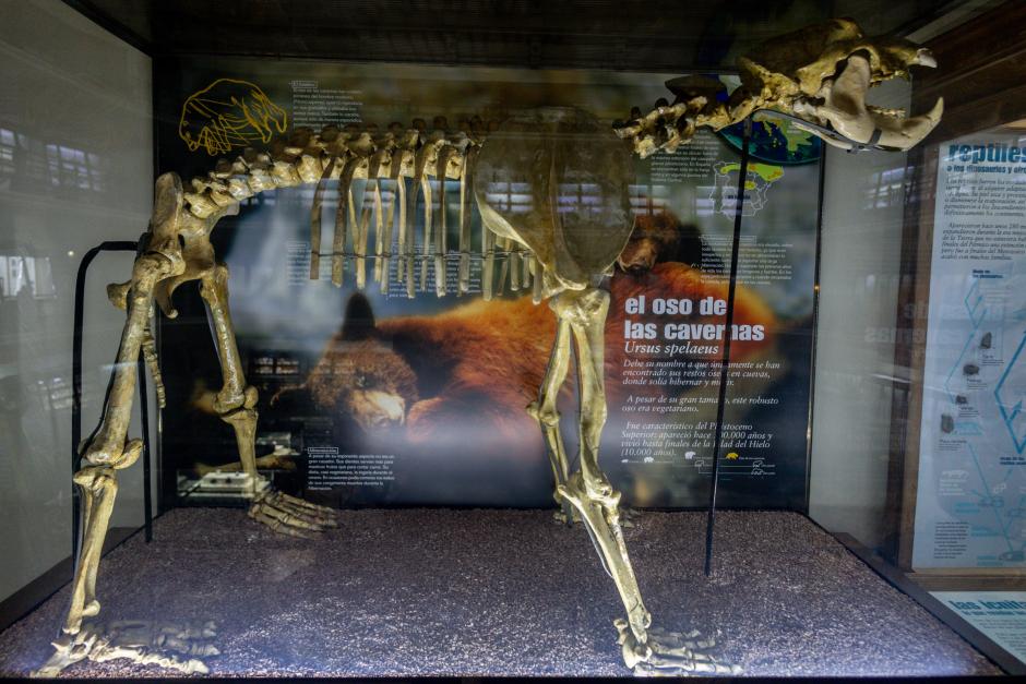 Museo Geominero del Instituto Geológico y Minero de España (IGME)