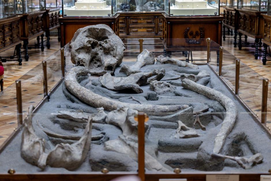 Museo Geominero del Instituto Geológico y Minero de España (IGME)